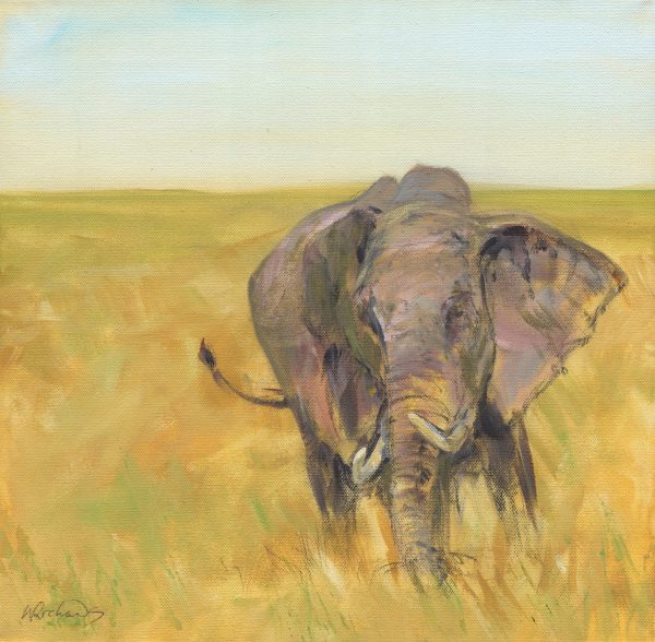 The Elephant - print