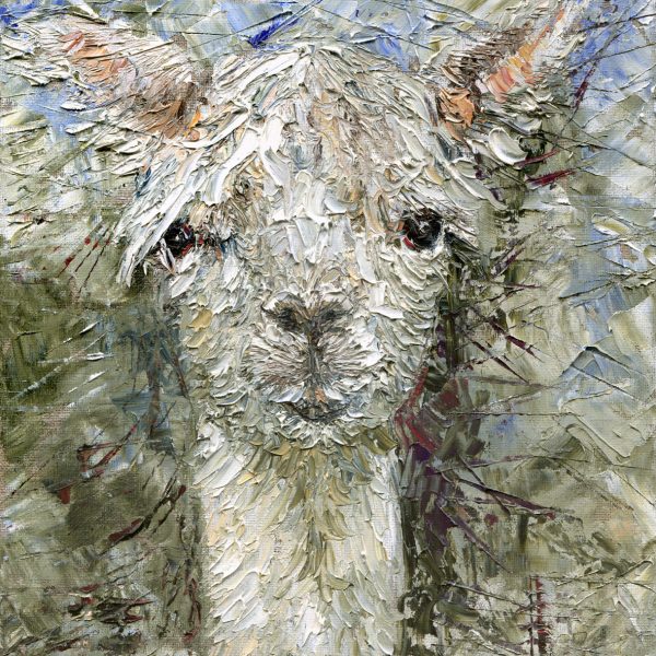 The Alpaca - print
