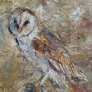 Barn Owl Beauty - Oil on Canvas